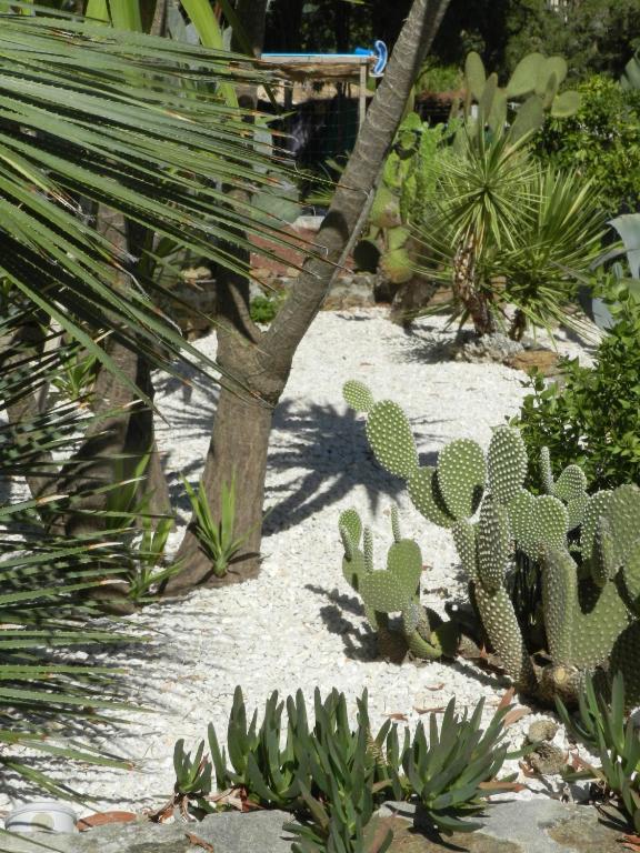 Hotel Paradis Bormes-les-Mimosas Eksteriør billede